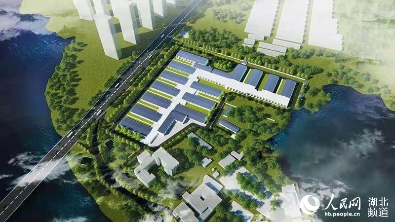 武漢火神山医院の完成予想図発表、1棟目の建設開始
