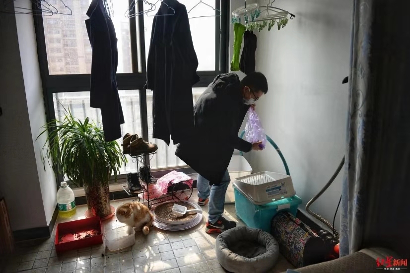 武漢のペットを救え！武漢に取り残されたペットたちに救済措置　湖北省