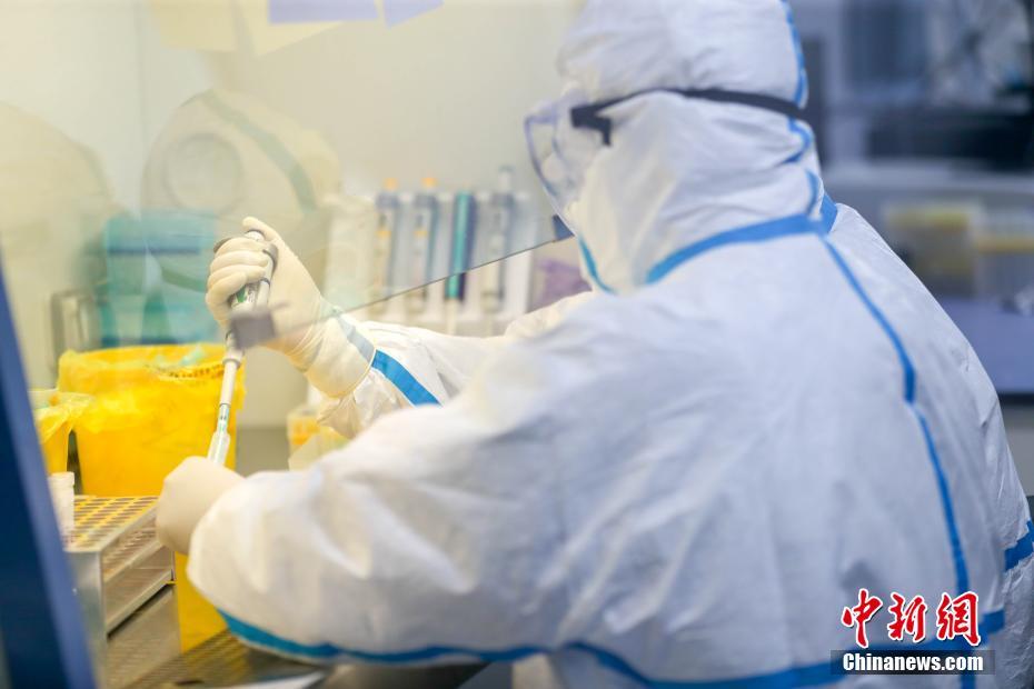 武漢の病原検査実験室、24時間態勢でウイルスを「捕捉」中