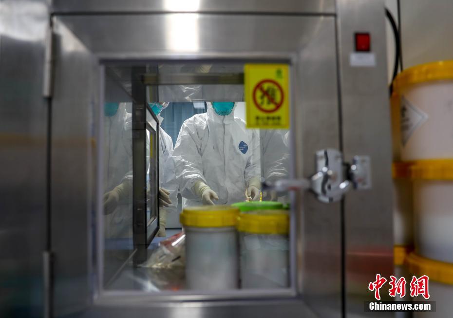 武漢の病原検査実験室、24時間態勢でウイルスを「捕捉」中