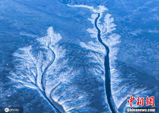 大連金州湾沖の渤海の海面に「氷の木」が出現　遼寧省