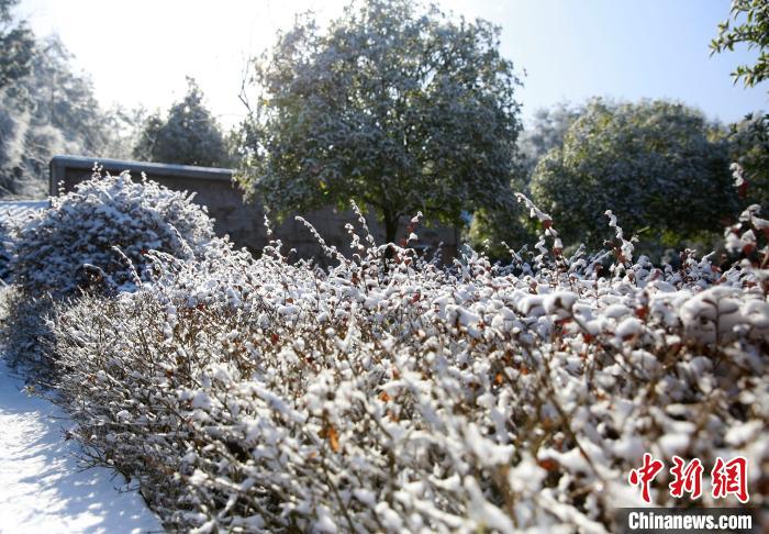 重慶の標高の高いエリアに舞い散る雪　一面の銀世界広がる武陵山大裂谷