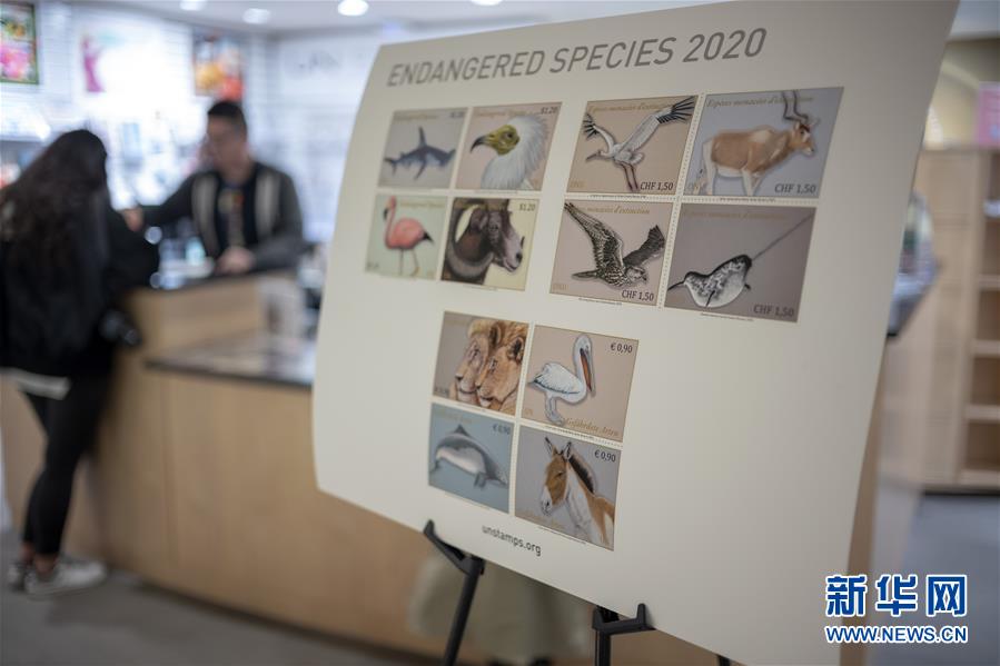2月18日に米ニューヨークの国連本部で撮影された絶滅危惧種シリーズ切手のポスター（撮影・李木子）。