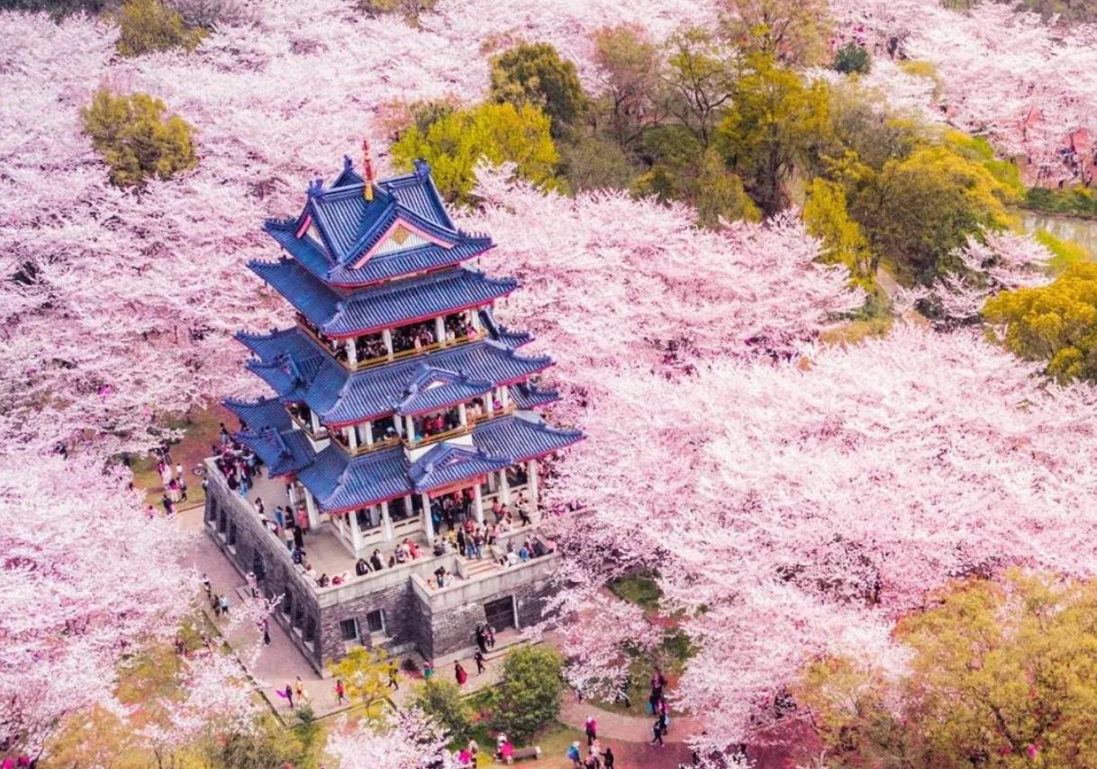 一生忘れられない春がやって来た！