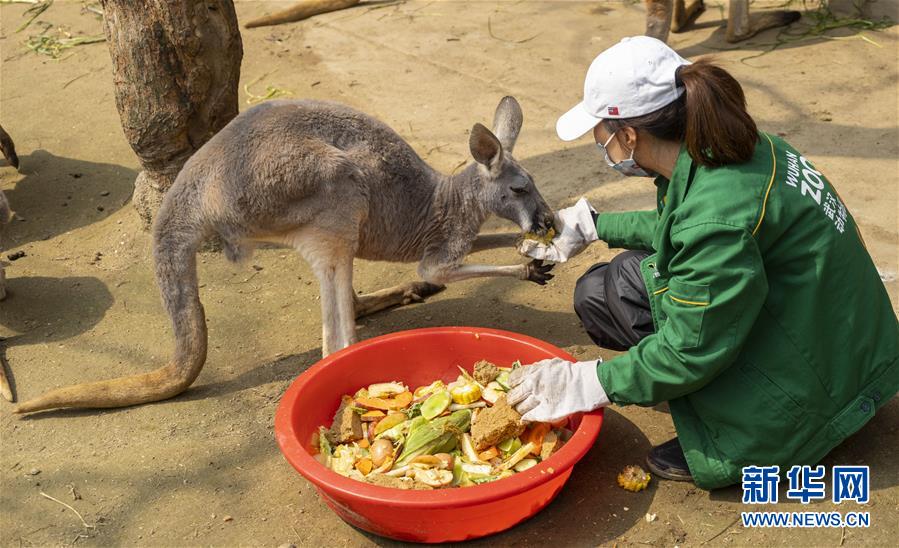 動物たちの安全守り続ける武漢動物園　湖北省