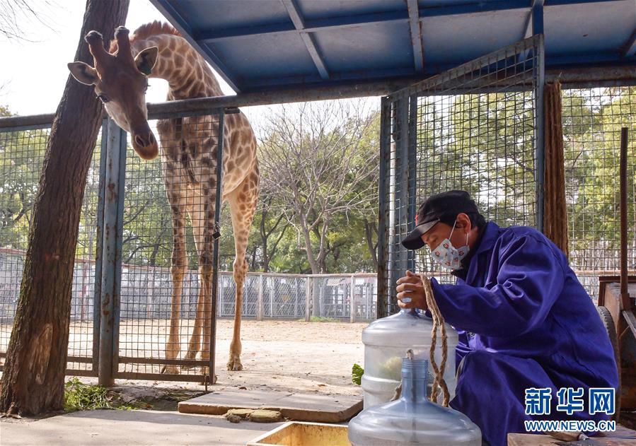 動物たちの安全守り続ける武漢動物園　湖北省
