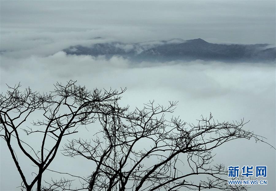 霧雲の中に浮かび上がる河南黄柏山