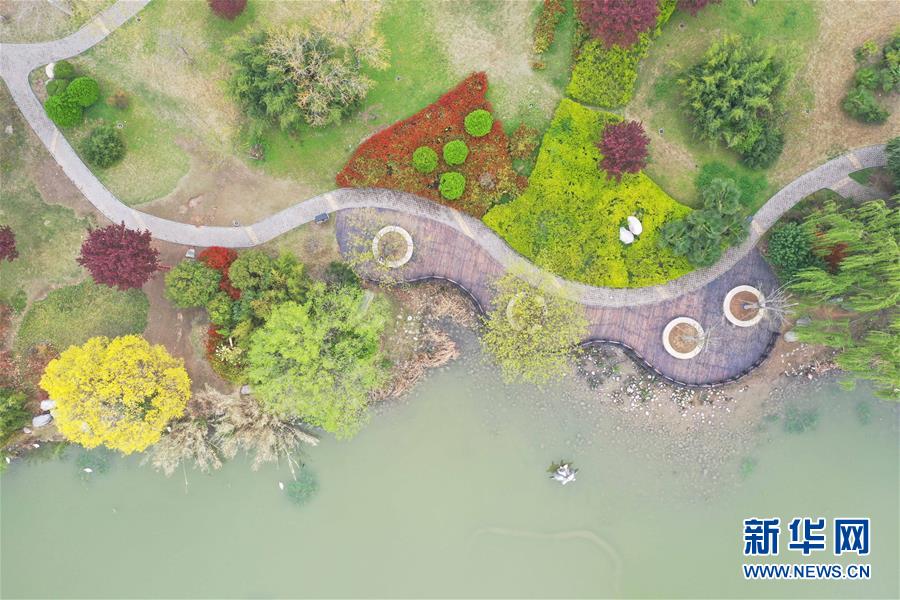 河南省許昌市鄢陵県にある中原花木博覧園の春景色（4月1日、ドローンによる撮影・馮大鵬）。