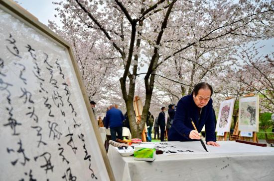 上海最大のサクラスポットで「クラウド花見」も可能な雅な文化イベント