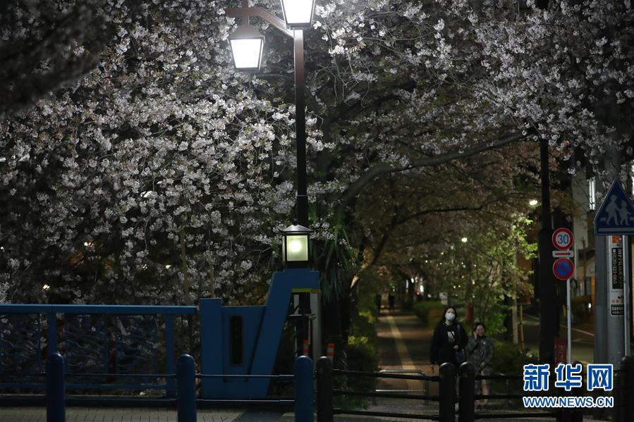 4月6日、東京でサクラの木の下をマスクをして歩く女性ら（撮影・杜瀟逸）。
