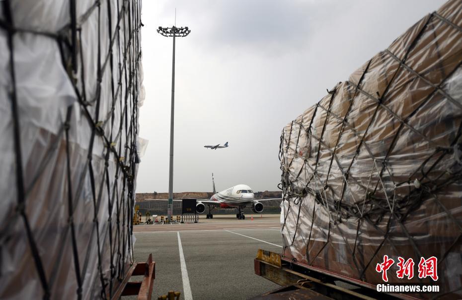 広州から海外へ防疫物資が相次ぎ輸送