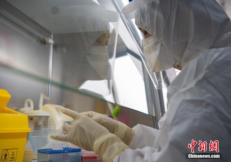 北京の新型コロナウイルスPCR検査業務を取材