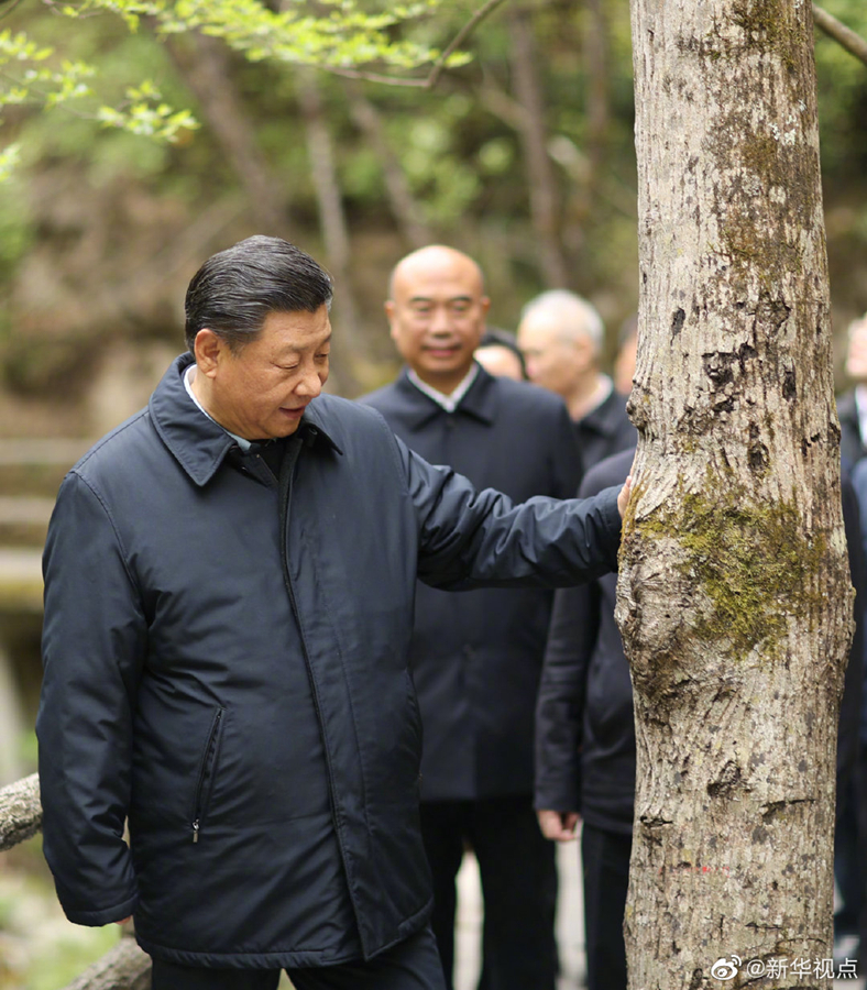 習近平総書記が陝西省で生態系保護の状況を視察