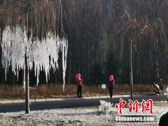 氷結した木の枝や草の葉に透明な琥珀の輝き　甘粛省ユグル族自治県