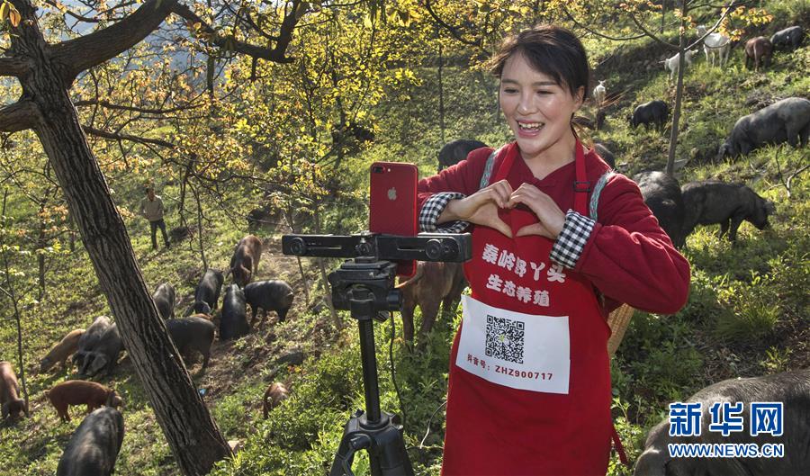 秦嶺の山奥で養豚に従事する1990年代生まれの女性　陝西省