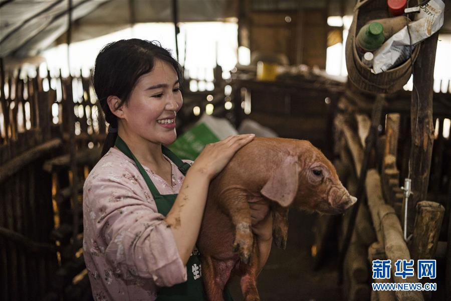 秦嶺の山奥で養豚に従事する1990年代生まれの女性　陝西省