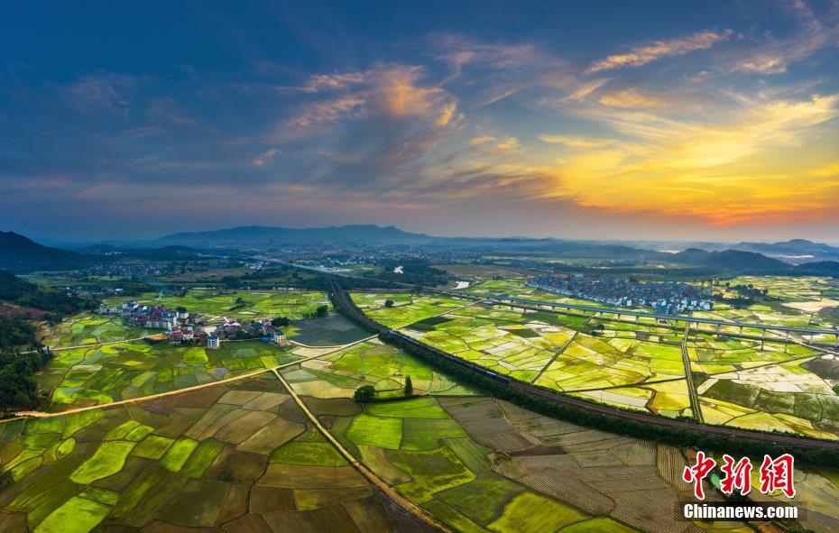 夕陽に輝く田園に白龍のごとく走る高速鉄道　江西省峡江県