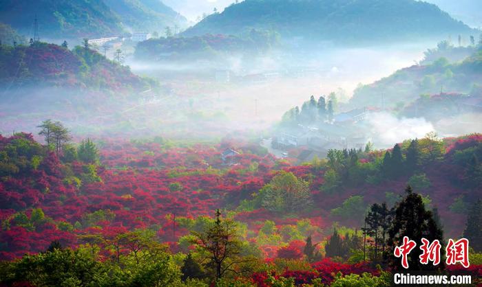 真っ赤なモミジの幻想的な景色広がる浙江省寧波の四明山