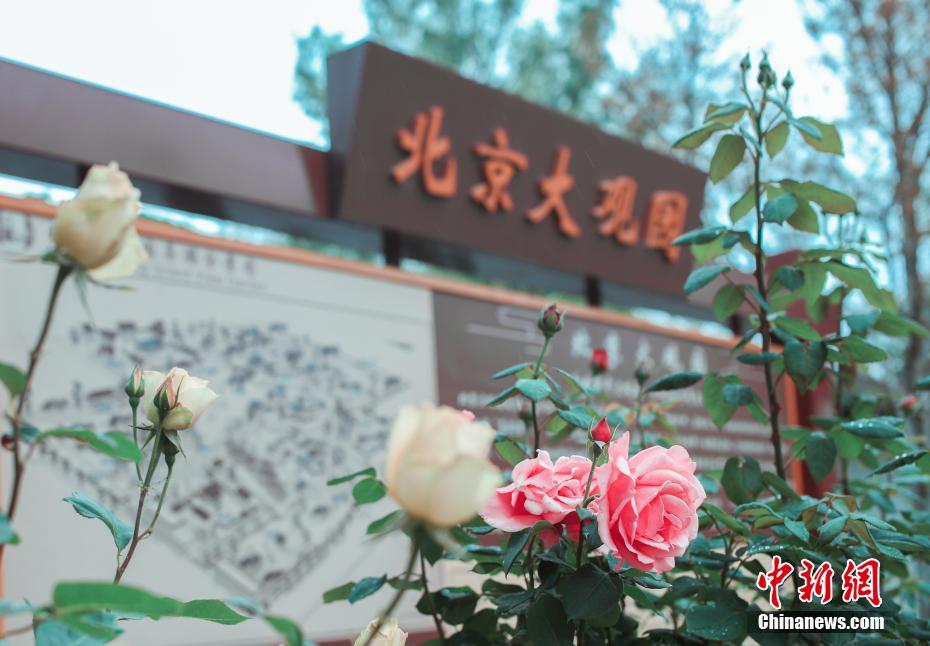 北京大観園が一般公開再開へ