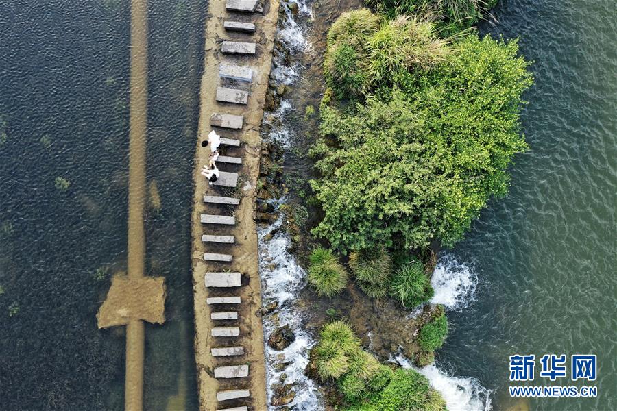 まるで絵のような初夏の湿地　貴州省貴陽市