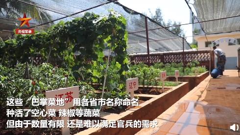砂性アルカリ土壌で野菜栽培する海軍兵士たち　海南省