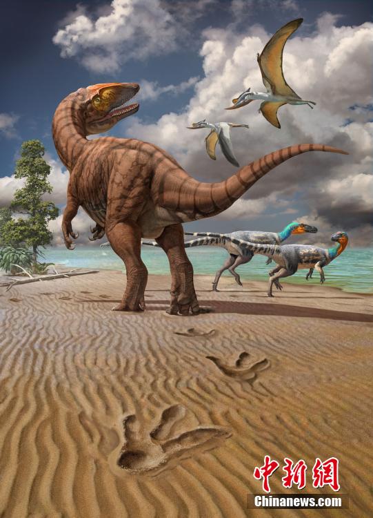 中国科学院チームが新疆ジュンガル盆地で世界最大の恐竜足跡化石を発見