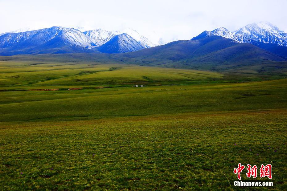 さわやかな夏の草原広がる新疆ウイグル自治区トクスン県