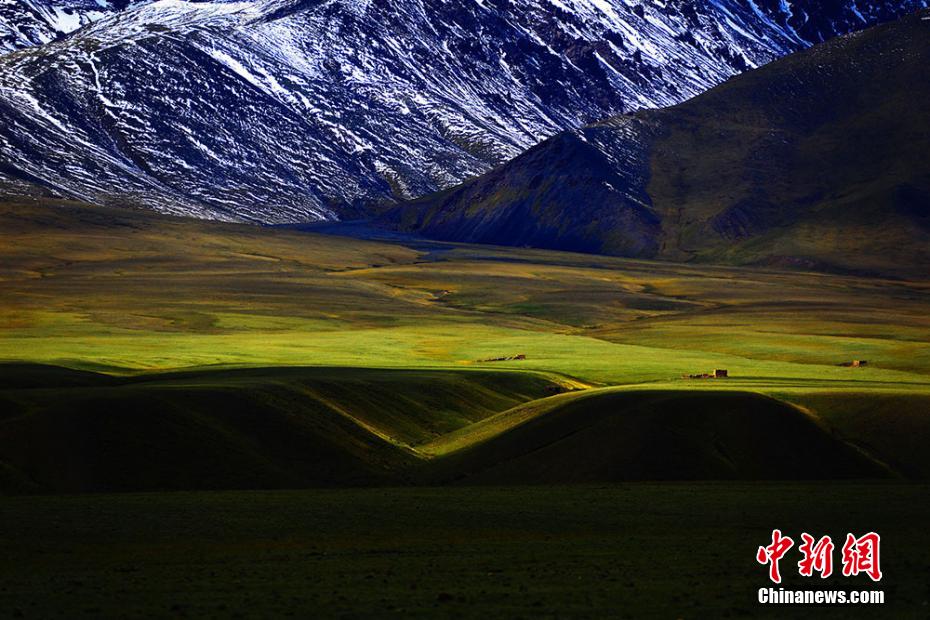 さわやかな夏の草原広がる新疆ウイグル自治区トクスン県