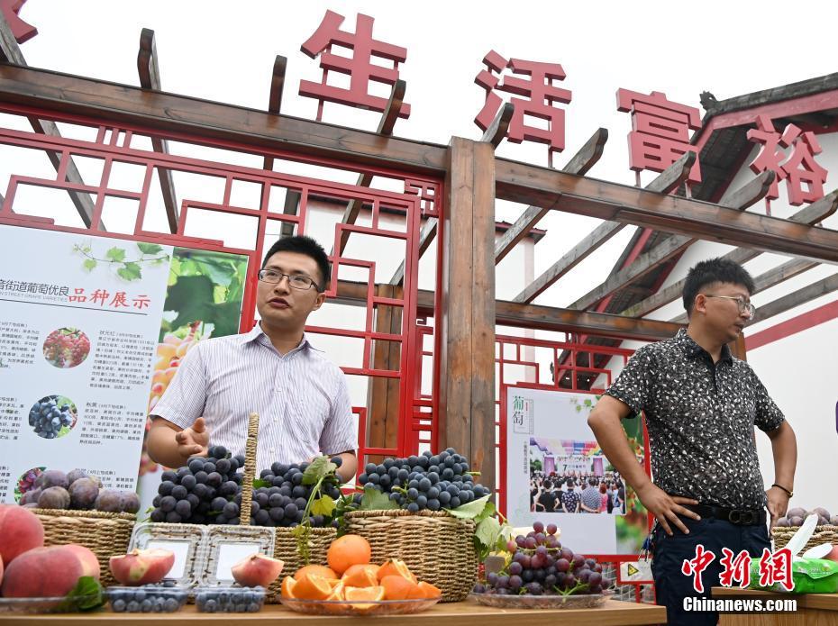 四川省眉山果園村で働く高学歴の「新型」職業農民