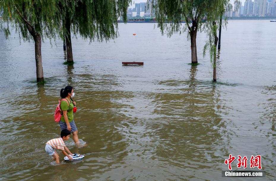 水位が引き続き上昇！武漢の長江水位が警戒レベル超える　湖北省
