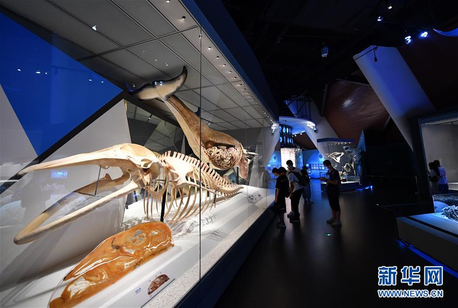 天津市の国家海洋博物館が来館者の受け入れを再開