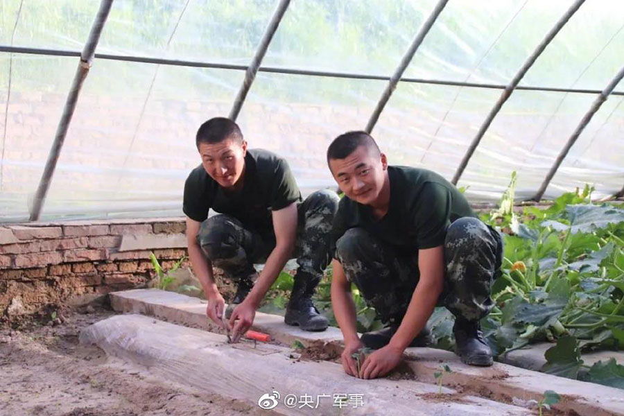 標高3080メートルの高地で野菜を栽培する兵士たち　青海省