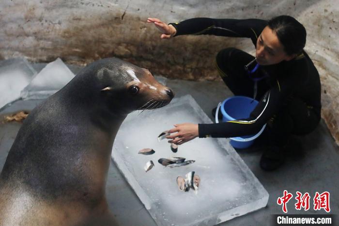 暑い夏到来も冷たいエサにゴキゲンな南京海底世界の動物たち　江蘇省