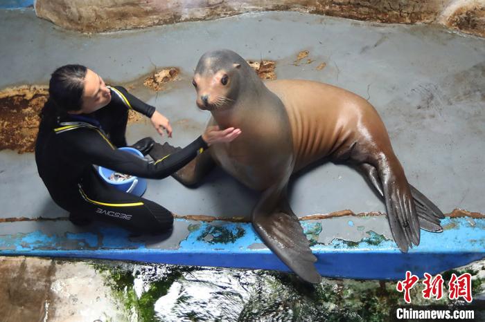 暑い夏到来も冷たいエサにゴキゲンな南京海底世界の動物たち　江蘇省