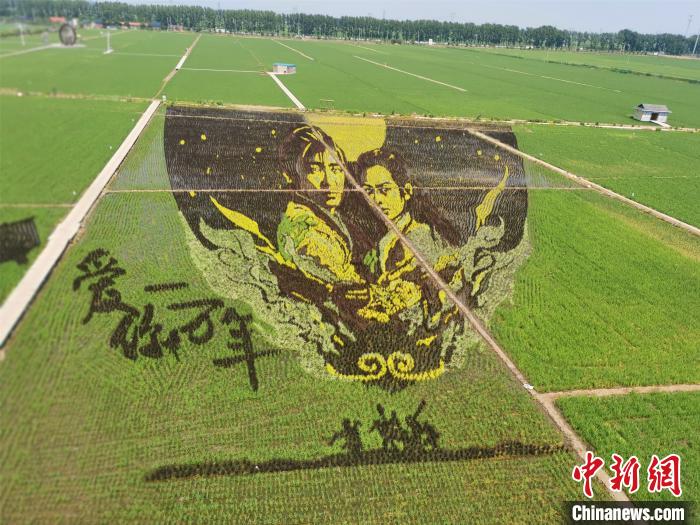 農民に年間約7700万円の収入をもたらす「稲夢空間」　遼寧省瀋陽