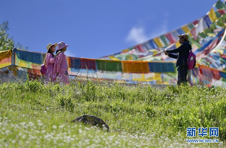 チベット林芝、人々を魅了する避暑の楽園