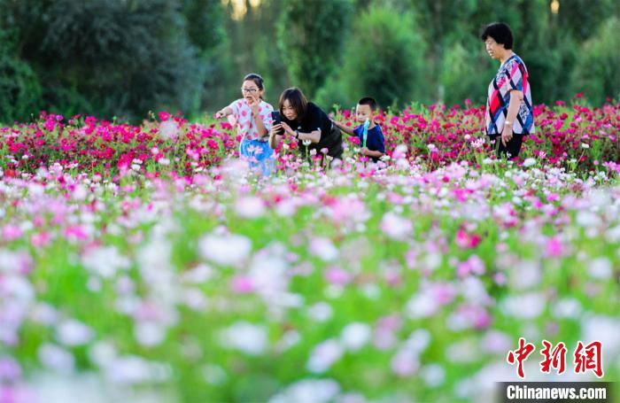 美しい花々が咲き誇る敦煌鳴沙山の郷村ツアーが人気に　甘粛省