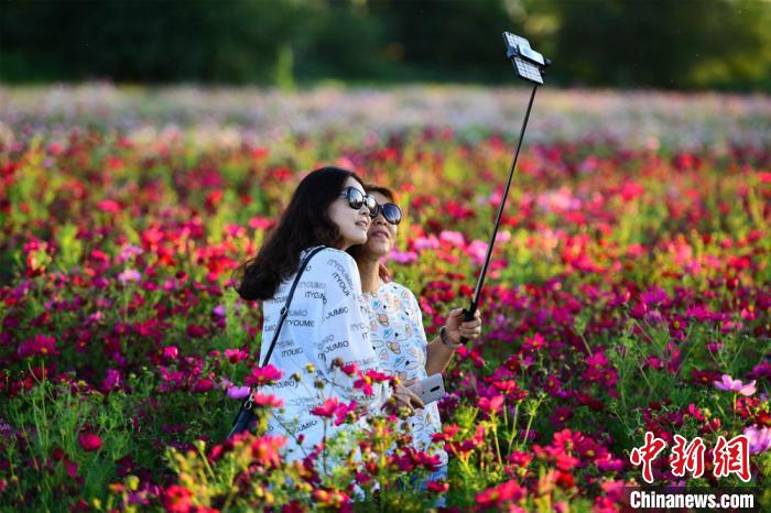 美しい花々が咲き誇る敦煌鳴沙山の郷村ツアーが人気に　甘粛省