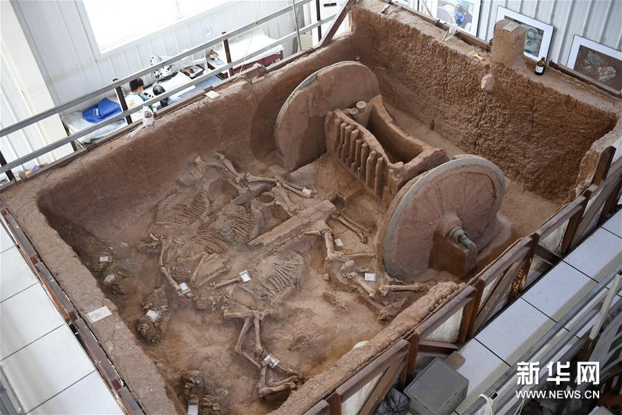 2800年前の青銅フレームの車輪が取り付けられた馬車を復元　陝西省
