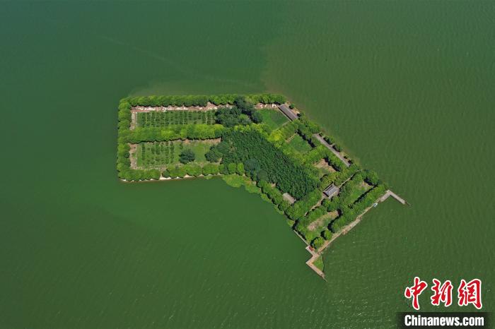 8月3日、上空から撮影した洪湖の真ん中にある小島（撮影・周星亮）。