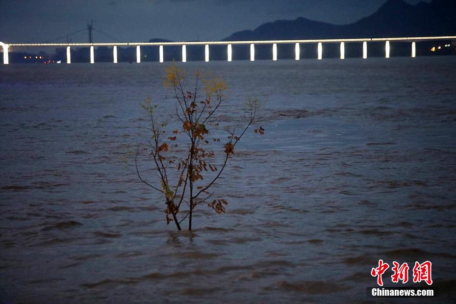 「長江5号洪水」の増水ピークが湖北省宜昌に到達
