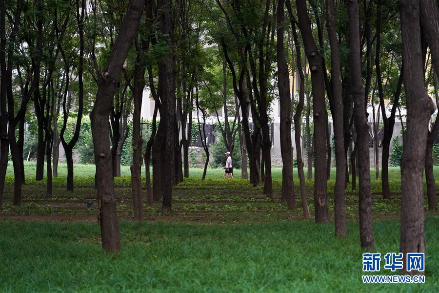 市民の身近に緑地公園を　北京市