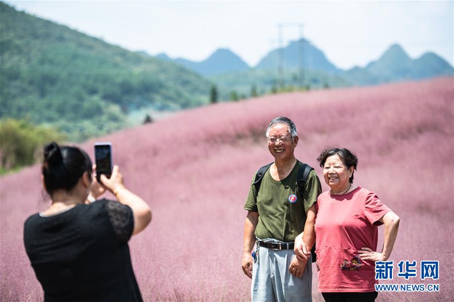 観光客たちを魅了する貴州省に広がる「桃色の海」
