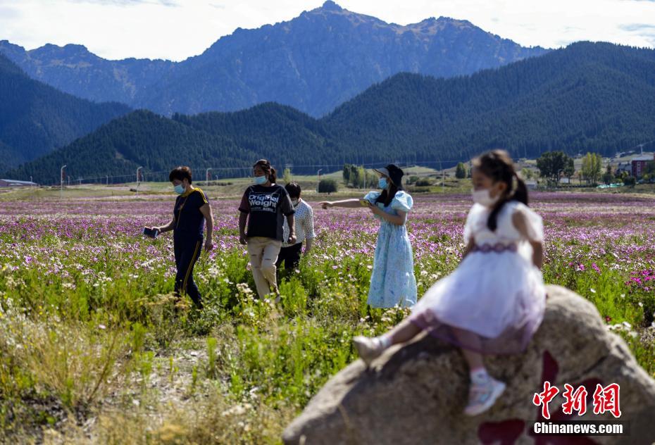 新疆で屋外景勝地が全面開放　郊外で花畑を楽しむ観光客
