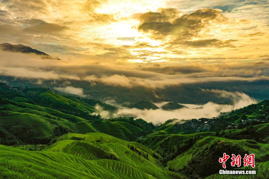 雲霧のたなびく美しい景観が見られた竜脊棚田（撮影・潘志祥）。