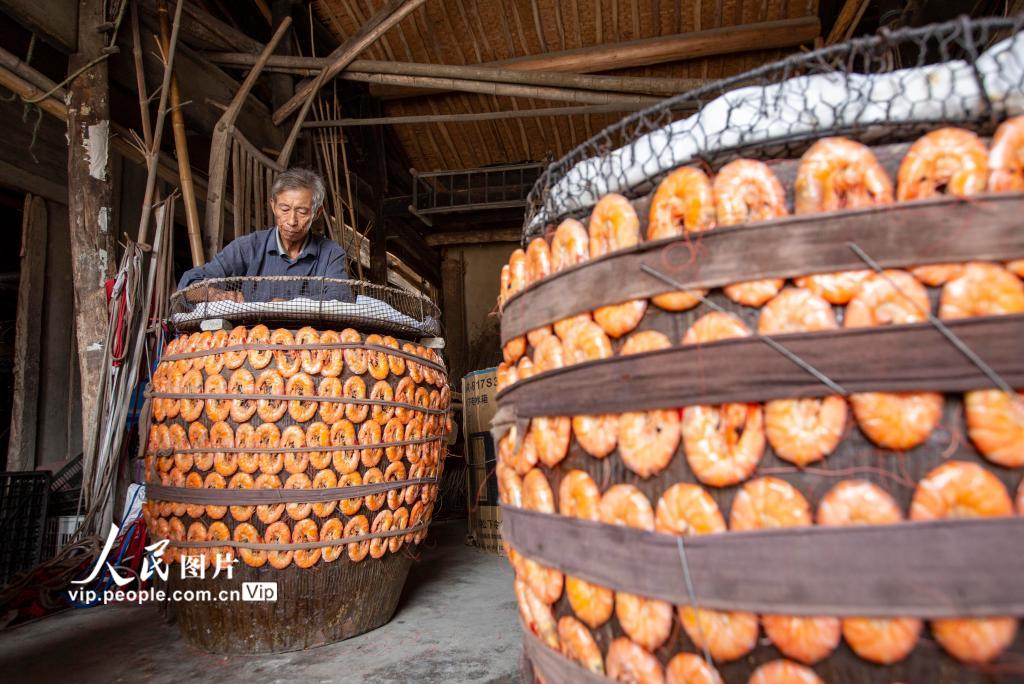 甕に括り付ける伝統の火干し製法、エビの香り漂う漁村　浙江省寧波