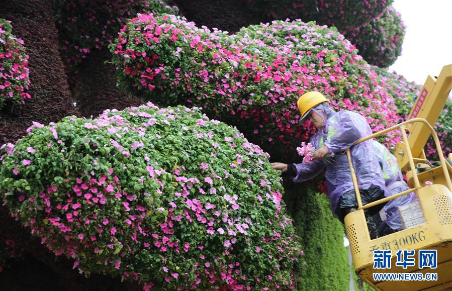 艶やかな花壇で建国記念日を迎える北京