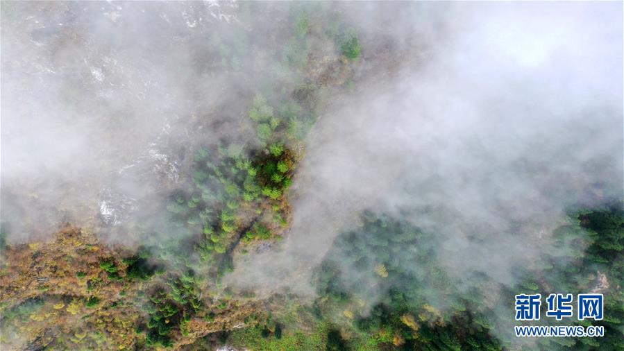 10月13日、雨が降った後、霧がたちこめる秘境・ザガナの美しい景色（ドローンによる撮影・陳斌）。