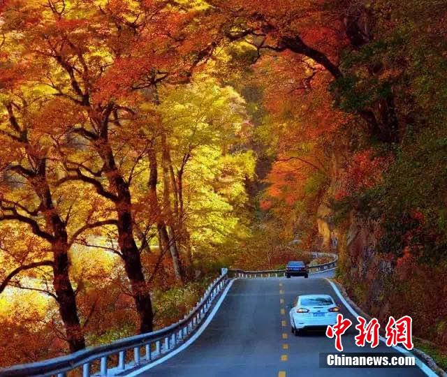 深まる秋、色彩の祭典　湖北省神農架林区