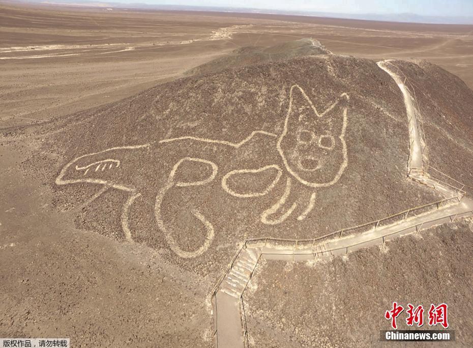 ペルーのナスカ遺跡で新たに発見された猫の地上絵。 